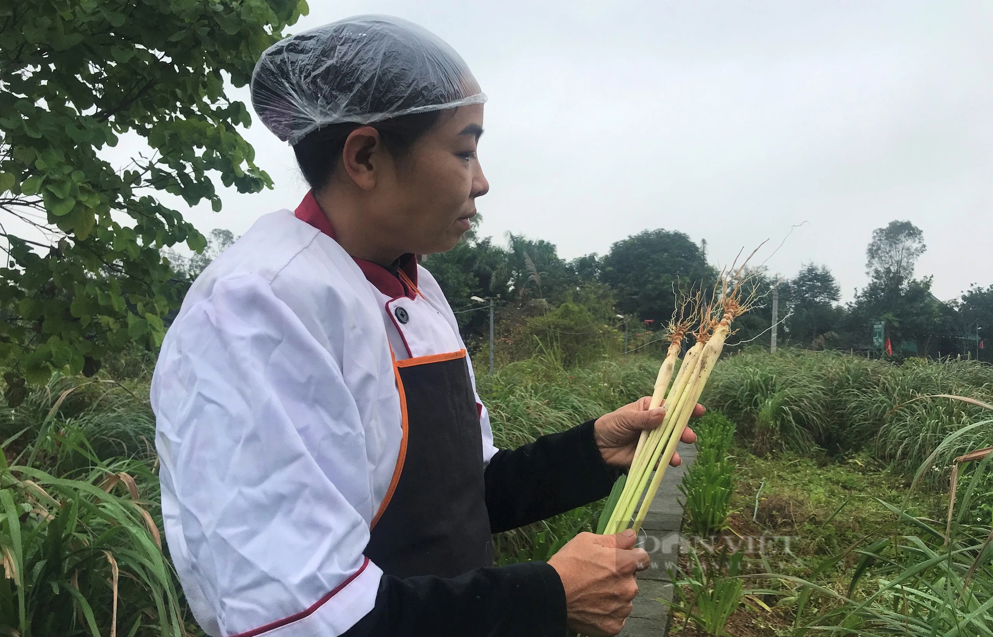 Biến vùng đất đồi ở Hà Tĩnh thành vườn trồng thảo dược đẹp lung linh, làm ra các sản phẩm OCOP- Ảnh 4.