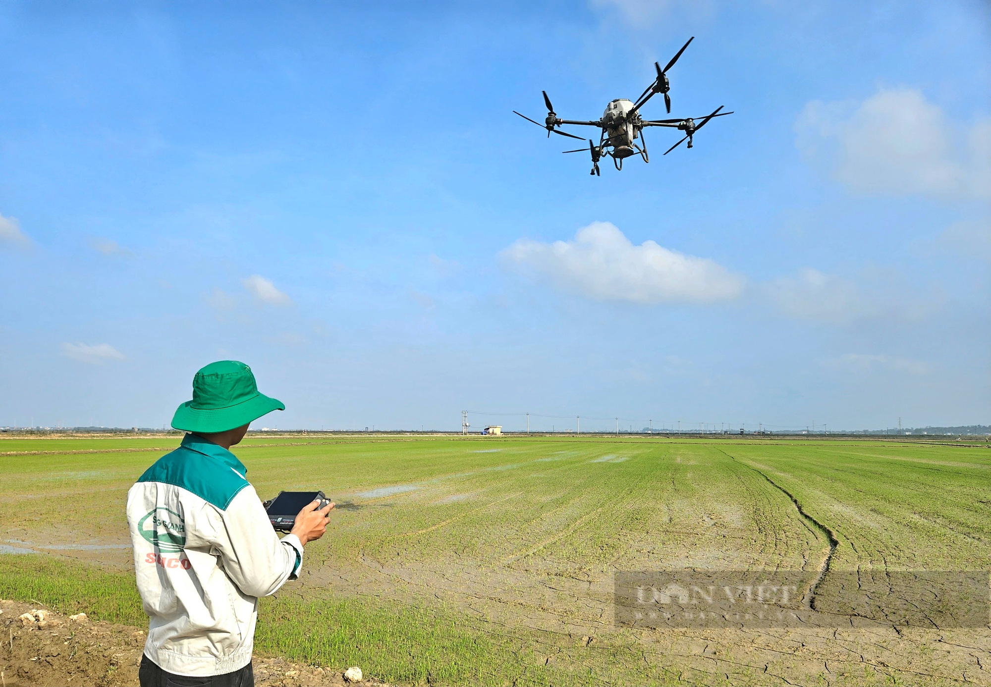 Trên cánh đồng "không dấu chân" dùng máy bay không người lái ở Quảng Bình, lúa đã vươn mầm xanh- Ảnh 2.