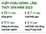 Khi nông sản Việt tô đậm hình ảnh quốc gia- Ảnh 2.