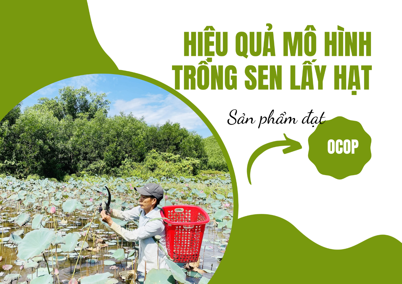 Quảng Nam: Sơn Viên ưu tiên phát triển kinh tế vườn – rừng, tạo động lực nâng cao thu nhập cho người dân- Ảnh 1.