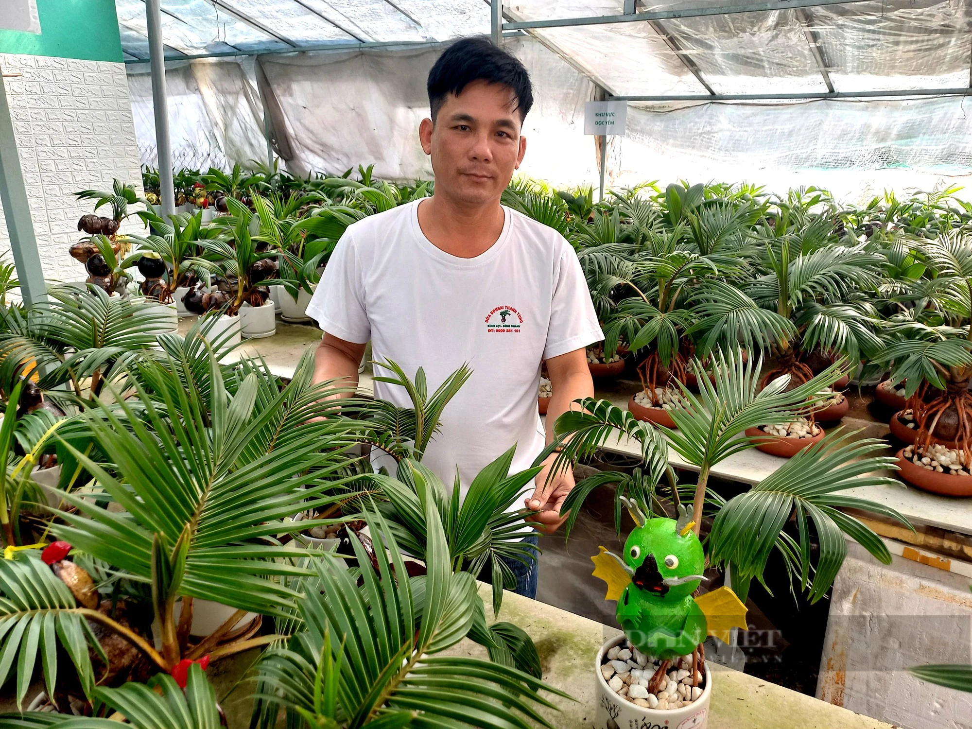 Cho cây bonsai này hóa rồng bán tận Hà Nội chơi Tết Giáp Thìn, chàng trai TP HCM thu bộn tiền - Ảnh 6.