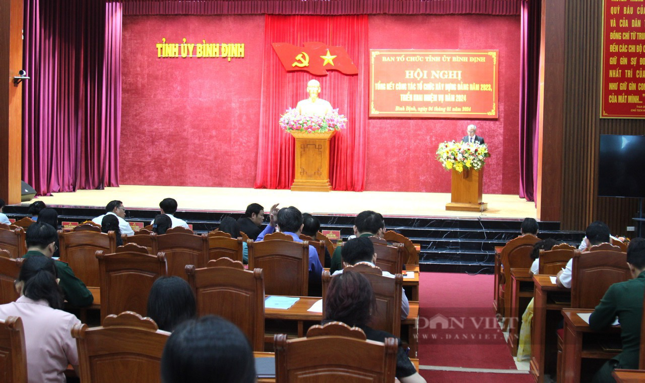 48 đảng viên ở Bình Định có dấu hiệu vi phạm- Ảnh 1.