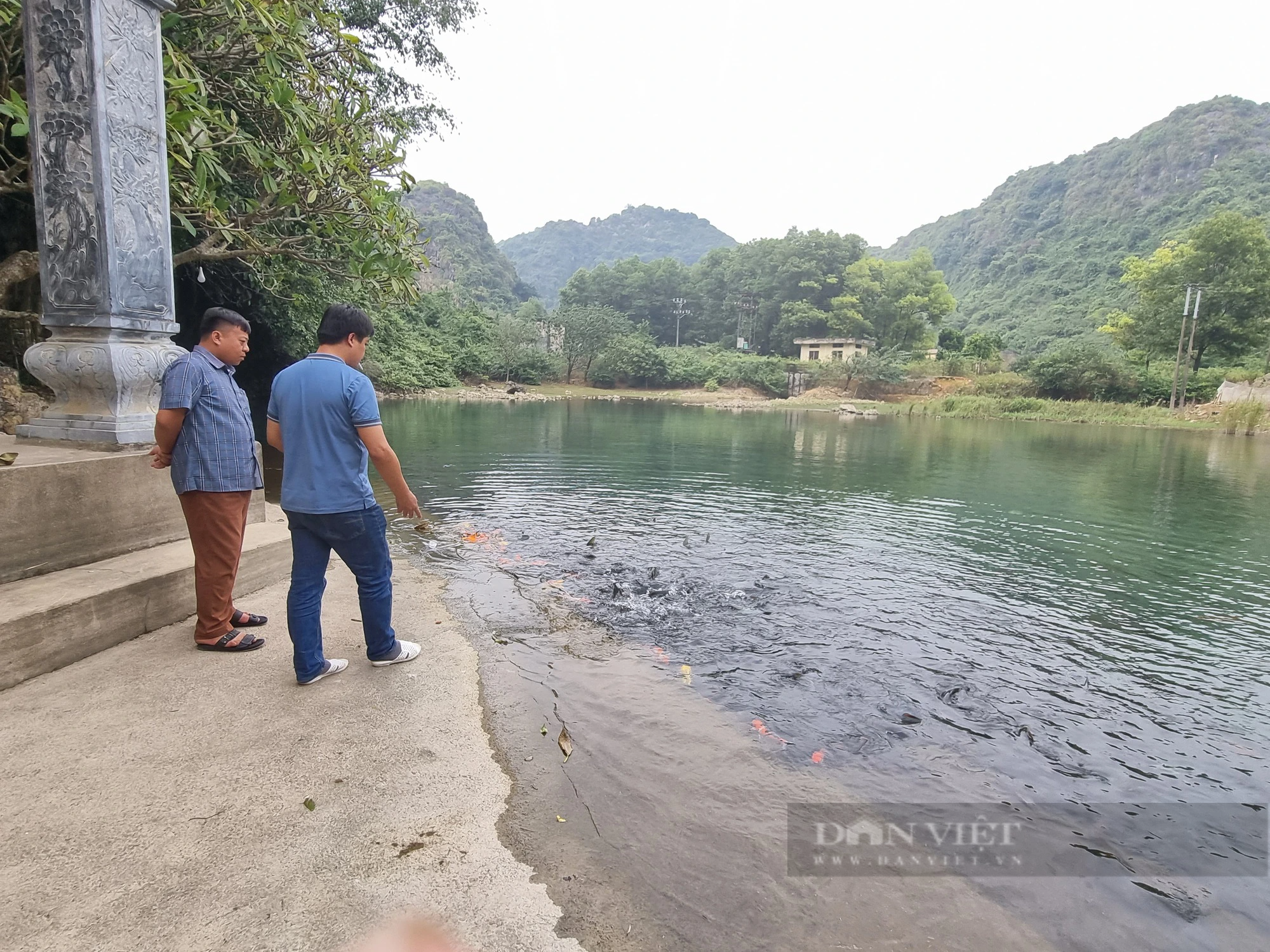 Dày đặc "cá thần" trong hang ở đền Nước tại một làng Thanh Hóa, 10 người đến xem 10 người mê- Ảnh 4.