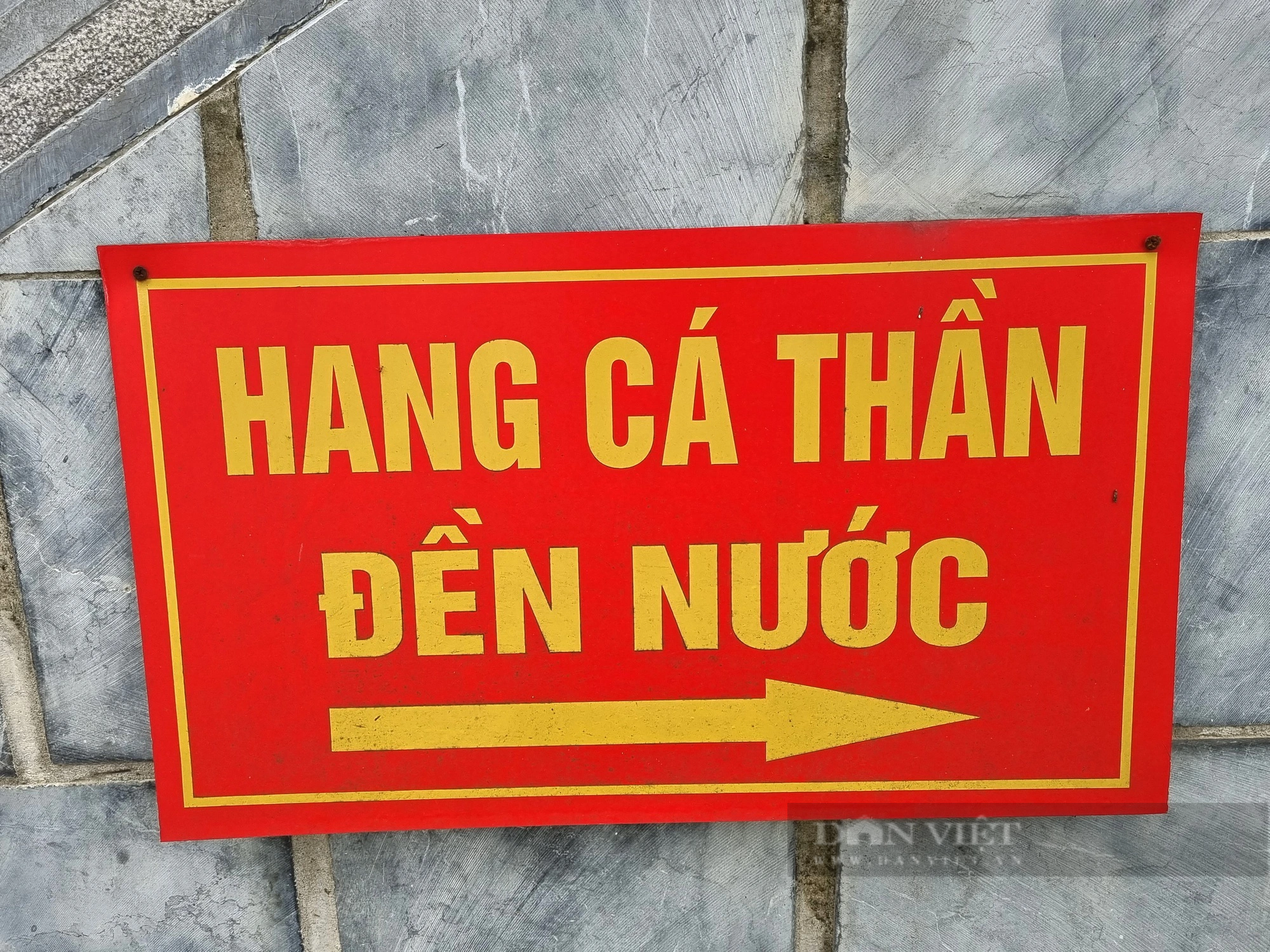 Dày đặc "cá thần" trong hang ở đền Nước tại một làng Thanh Hóa, 10 người đến xem 10 người mê- Ảnh 3.