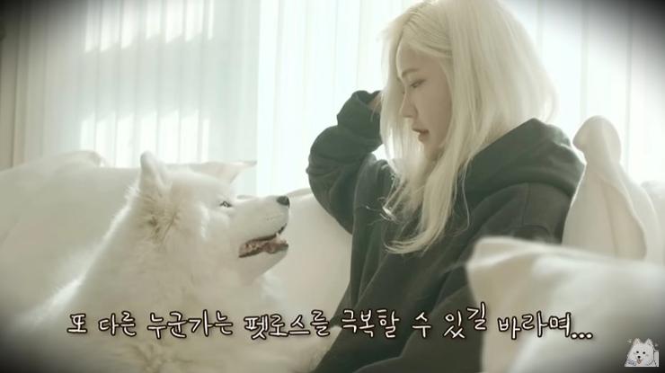 Hàn Quốc: Tranh cãi vì Youtuber nhân bản vô tính chó cưng- Ảnh 1.