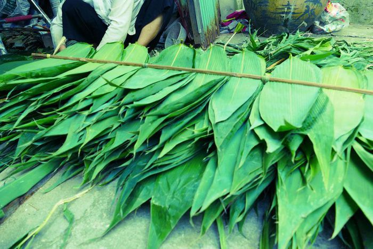 Một loại lá rụng đầy ở Việt Nam bất ngờ trở thành mặt hàng xuất khẩu có giá trị cao- Ảnh 2.