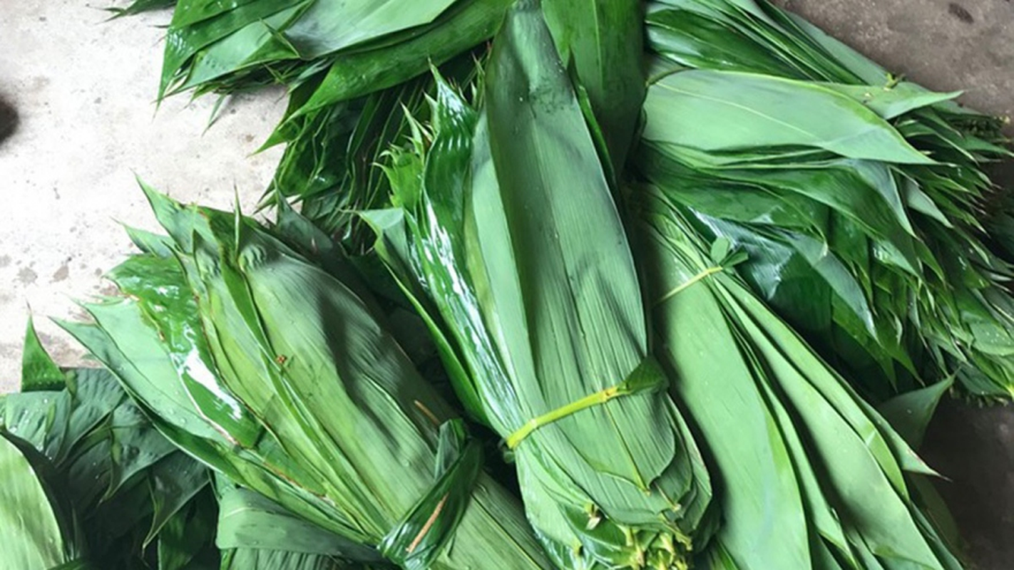 Một loại lá rụng đầy ở Việt Nam bất ngờ trở thành mặt hàng xuất khẩu có giá trị cao- Ảnh 6.