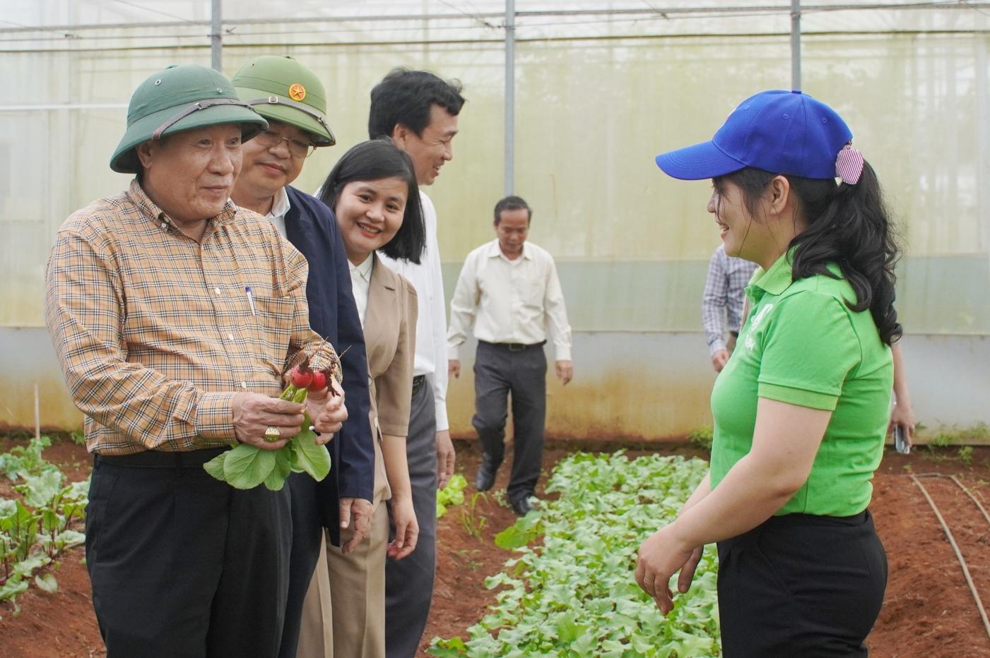 Mô hình nông nghiệp tiêu biểu ở Quảng Trị là “cảm hứng” để nông dân học hỏi, làm giàu- Ảnh 1.