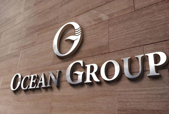 Bí ẩn doanh nghiệp "4 ngày tuổi" thâu tóm hơn 50 triệu cổ phiếu Ocean Group- Ảnh 1.