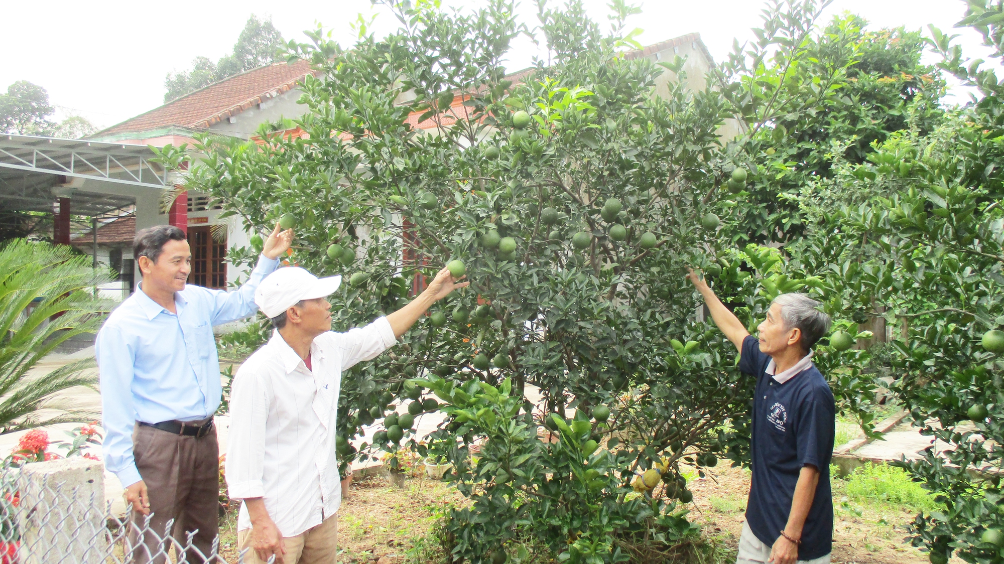 Quảng Nam: Sơn Viên ưu tiên phát triển kinh tế vườn – rừng, tạo động lực nâng cao thu nhập cho người dân- Ảnh 3.