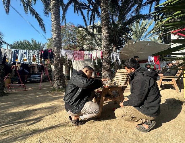 Hình ảnh sư tử, vượn khỉ đói khát, gầy tong teo và chết dần chết mòn ở Dải Gaza- Ảnh 8.