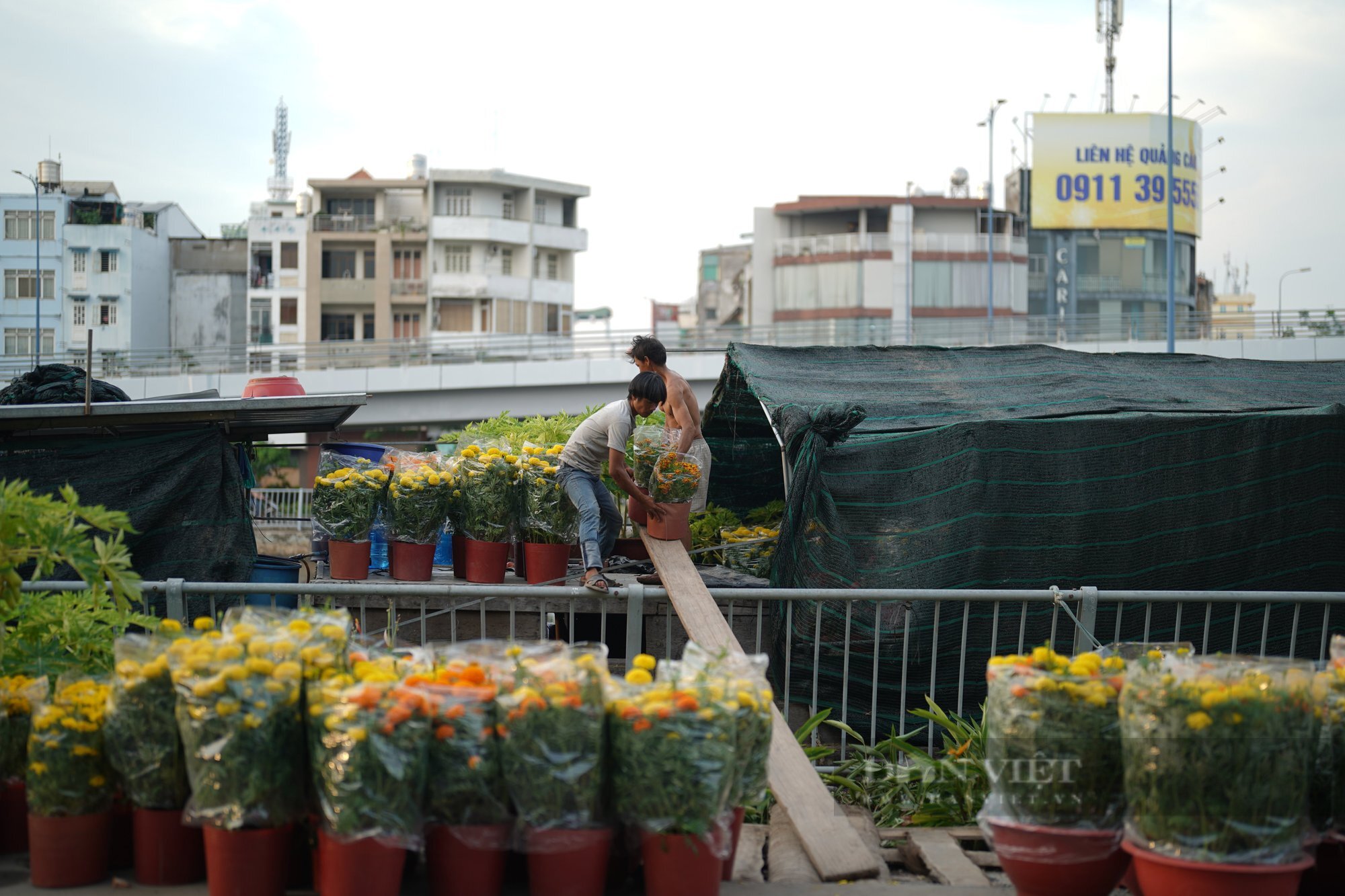 Chợ hoa xuân "Trên bến dưới thuyền" năm nay kéo dài nửa tháng- Ảnh 3.