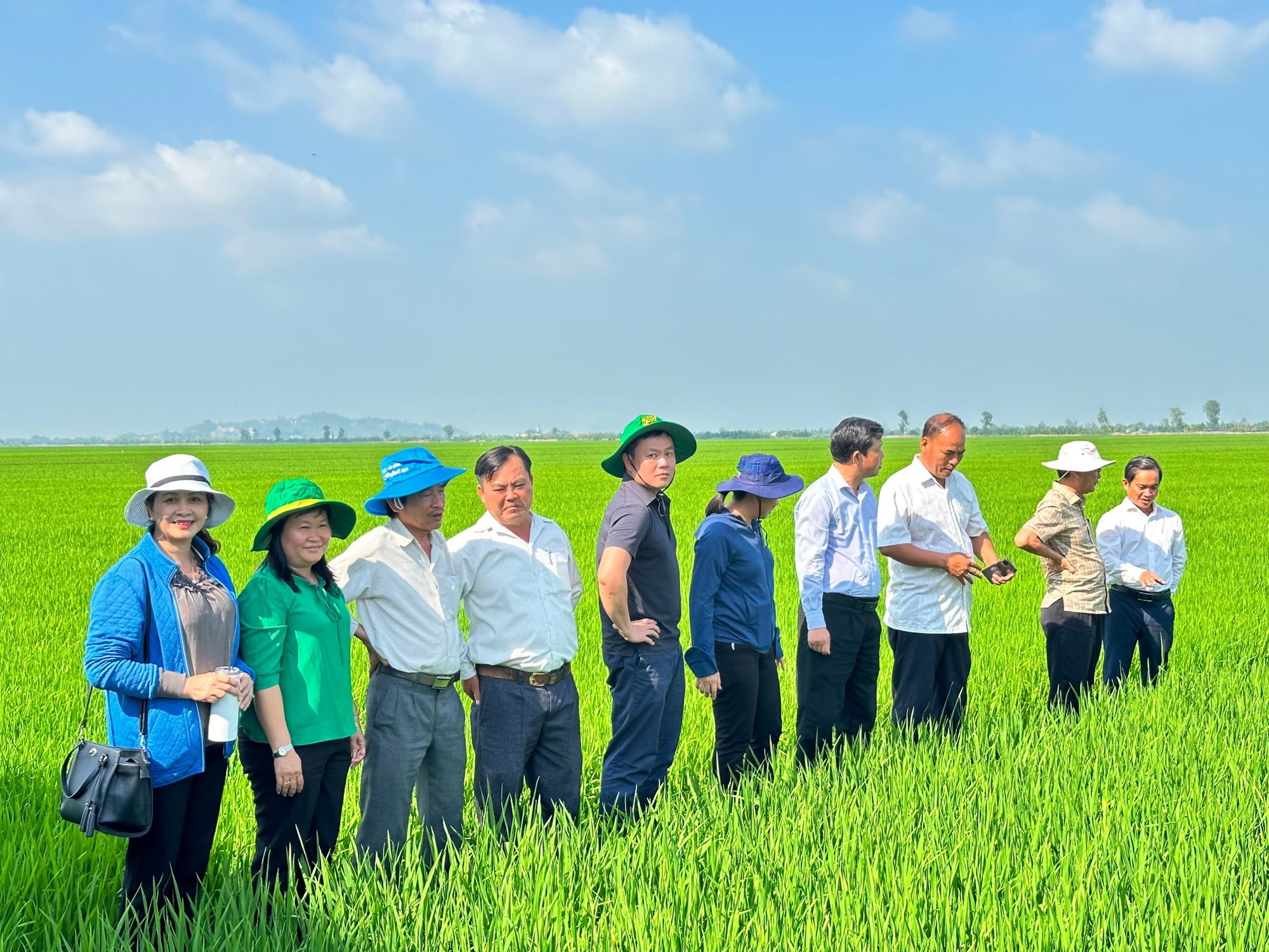 Tín dụng nông nghiệp góp phần phát triển kinh tế vùng Đồng bằng sông Cửu Long- Ảnh 2.