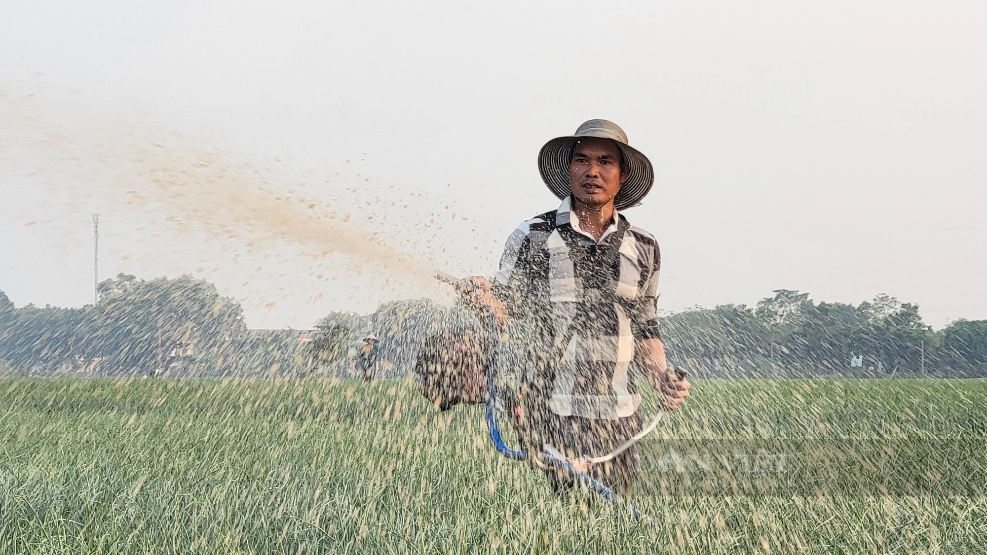 Lần đầu tiên, nông dân trồng hành, tỏi ở thị xã Kinh Môn, Hải Dương có ngày hội của riêng mình- Ảnh 5.