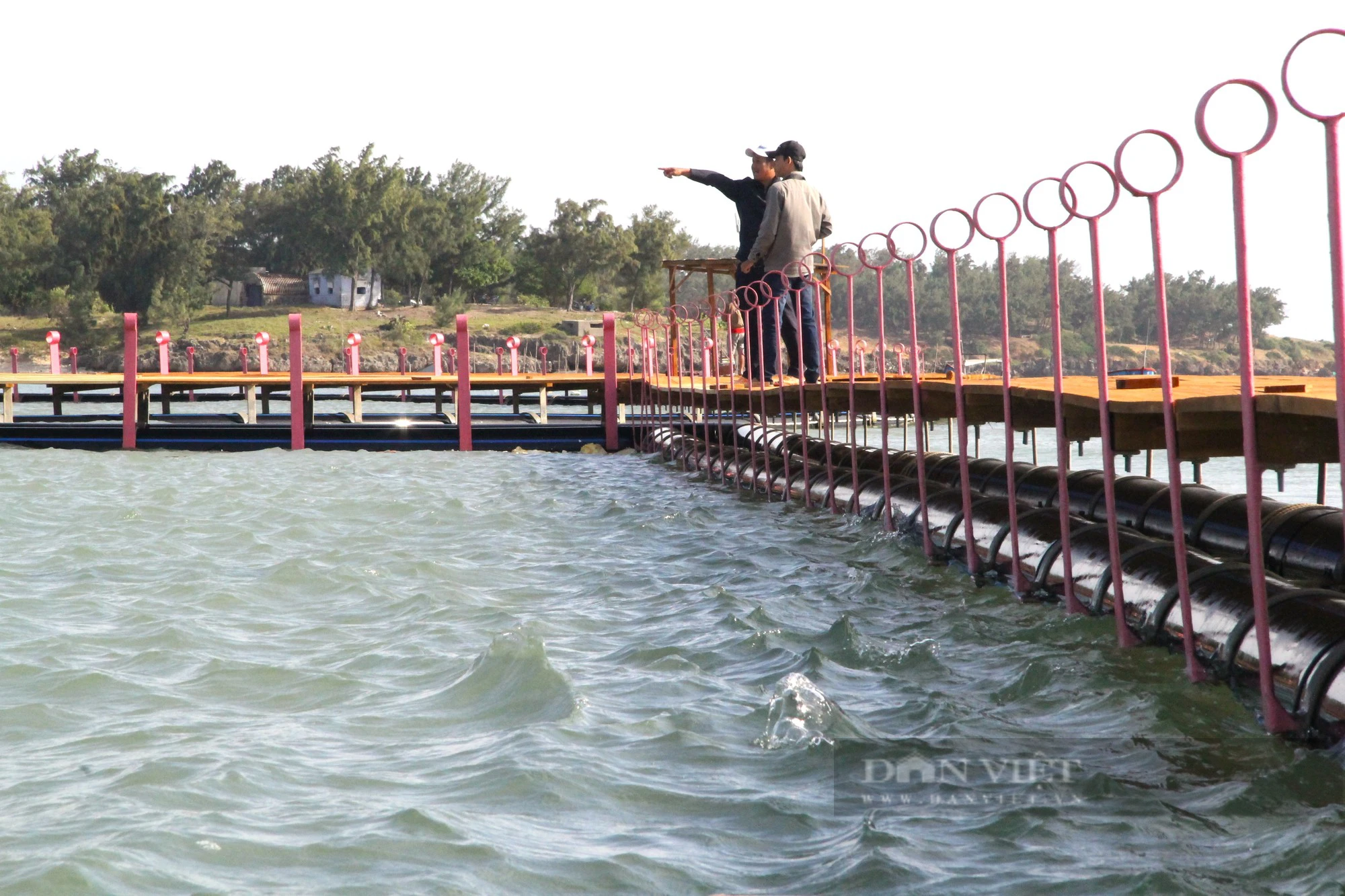 Cận cảnh lồng nuôi mực trên biển lớn nhất Việt Nam- Ảnh 5.