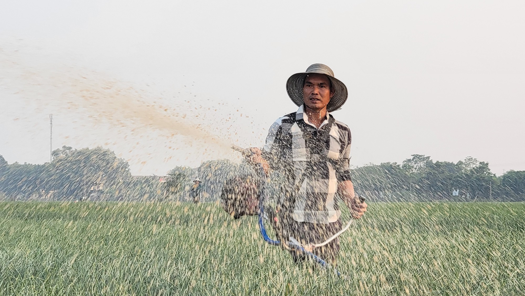 Lần đầu tiên, nông dân trồng hành, tỏi ở thị xã Kinh Môn, Hải Dương có ngày hội của riêng mình- Ảnh 2.