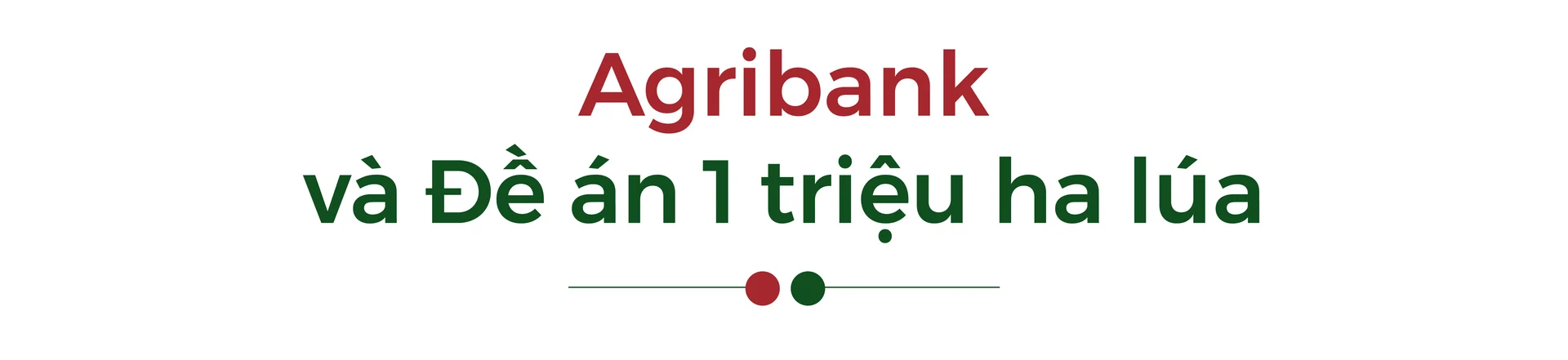 Agribank và những thành tựu trong "tam nông"- Ảnh 9.