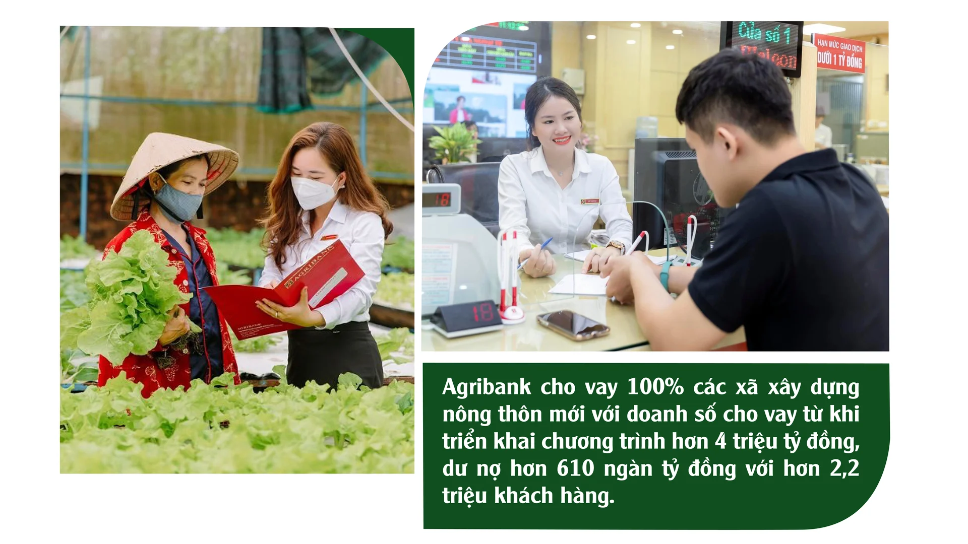 Agribank và những thành tựu trong "tam nông"- Ảnh 7.