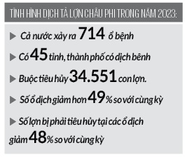 Cục Thú y triển khai loạt giải pháp loại bỏ tâm lý ngại tiêm vaccine dịch tả lợn châu Phi cho đàn lợn của dân- Ảnh 3.