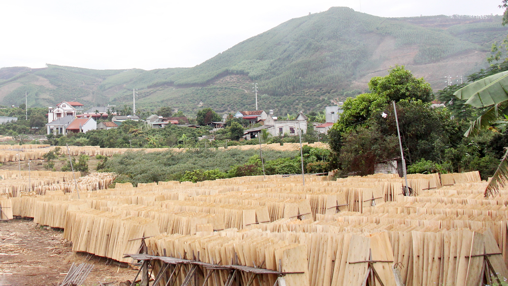 Một xã của tỉnh Bắc Giang, trước nghèo xơ xác, giờ không hiếm nhà lầu, xe hơi, người dân thu 43 triệu đồng/người/năm- Ảnh 4.