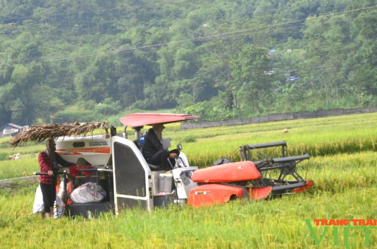 Người dân Kim Bôi nâng cao hiệu quả sản xuất nhờ cơ giới hóa nông nghiệp- Ảnh 2.