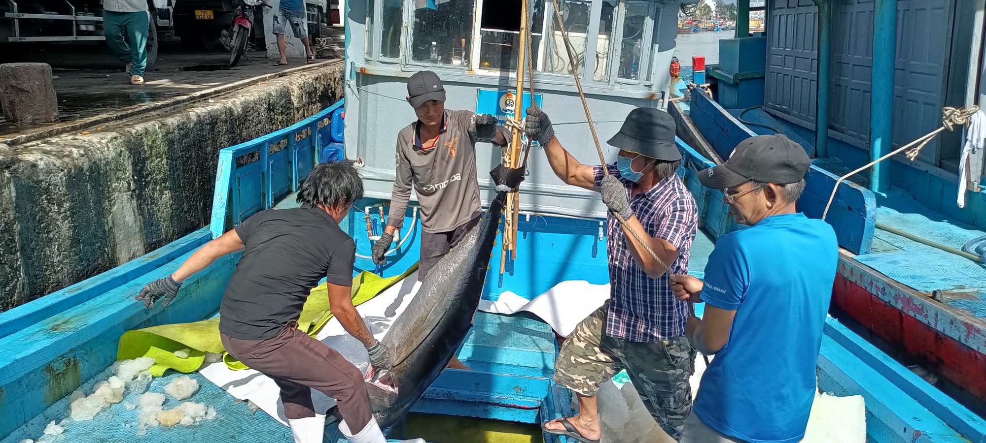 Ngư dân Khánh Hòa trúng cá ngừ đại dương, mỗi chuyến lãi 30-40 triệu- Ảnh 1.