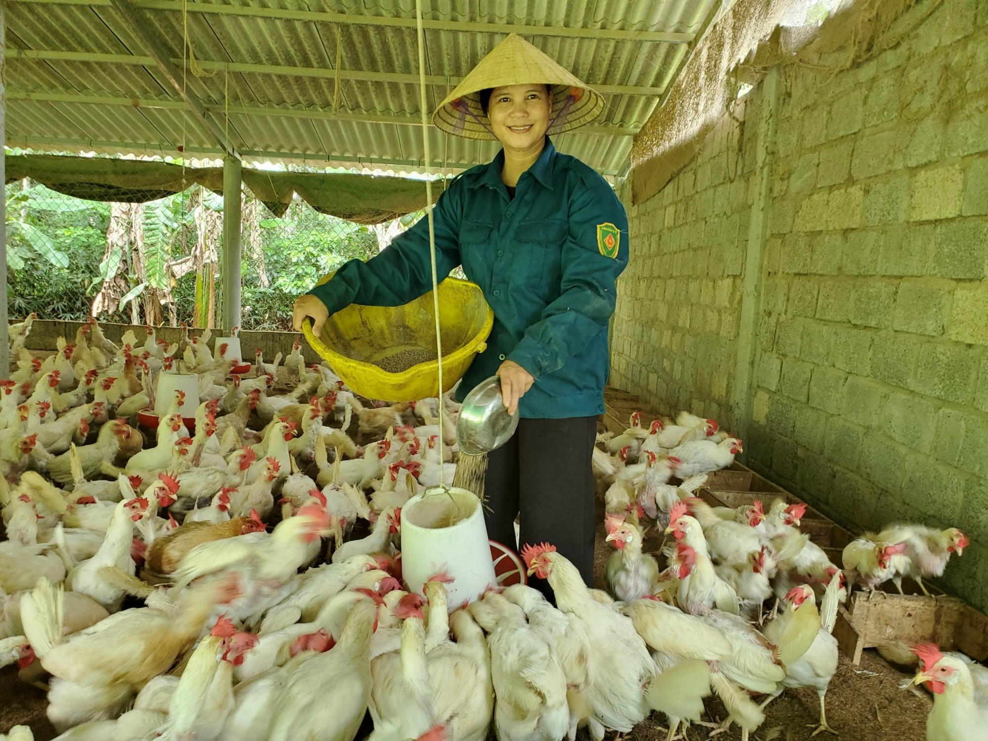 Phụ nữ Quảng Trị có nhiều chị mở trang trại làm giàu, thu lãi lớn mỗi năm- Ảnh 2.