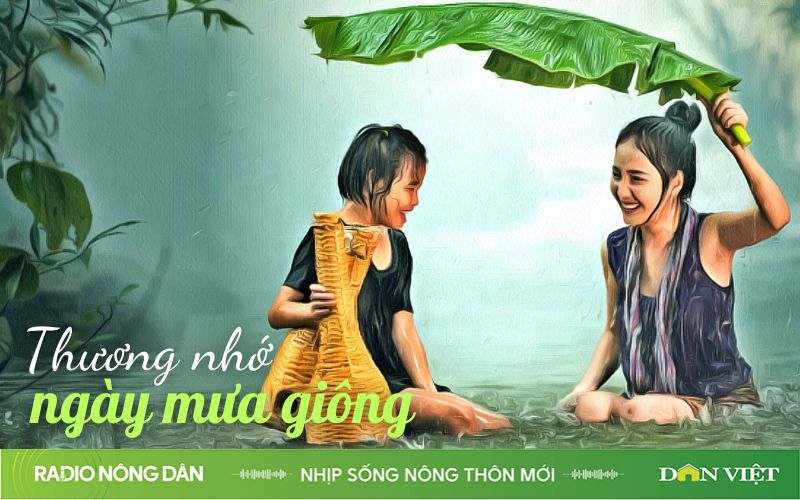 Thương nhớ ngày mưa giông- Ảnh 1.