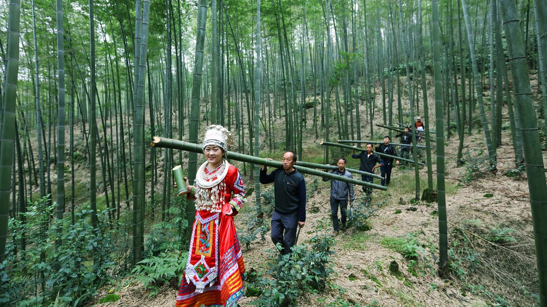 Loại rượu có hương vị thơm ngon đặc biệt, tinh khiết từ trong ống cây tre khiến nhiều "thượng đế" thích thú tìm mua- Ảnh 1.