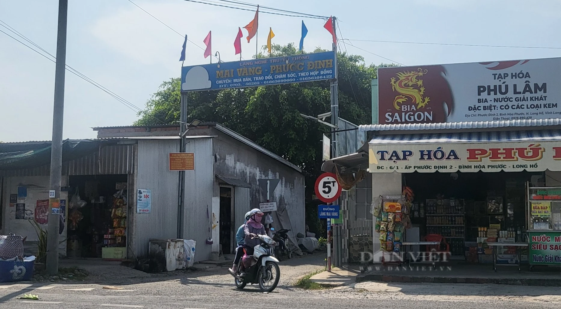 Cận cảnh những cây mai vàng cổ thụ có giá bạc tỷ ở Vĩnh Long, một làng ví là "thủ phủ" trồng mai miền Tây- Ảnh 1.