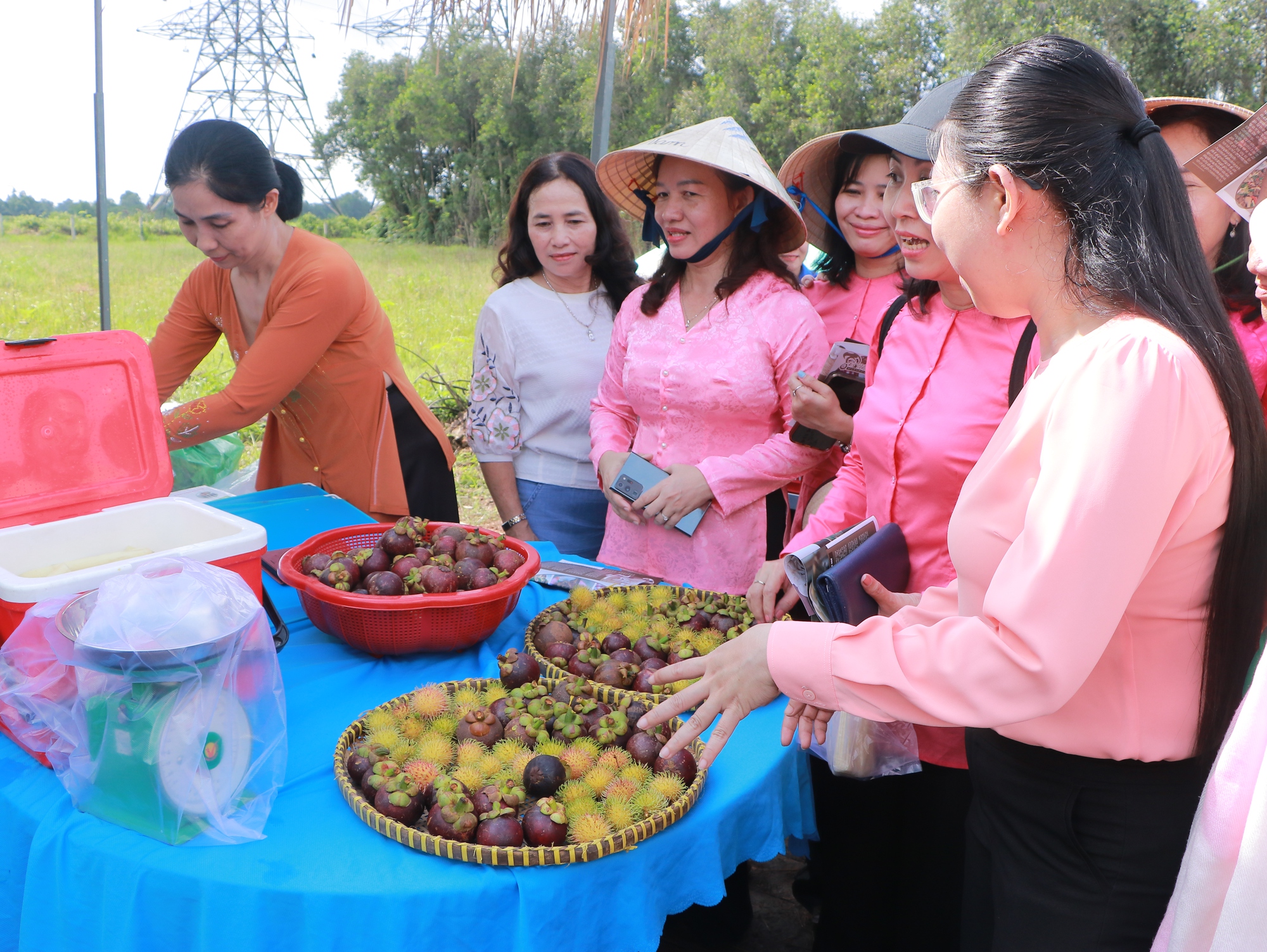 Huyện duy nhất của TP.HCM thu ngân sách vượt chỉ tiêu năm 2023 - Ảnh 1.