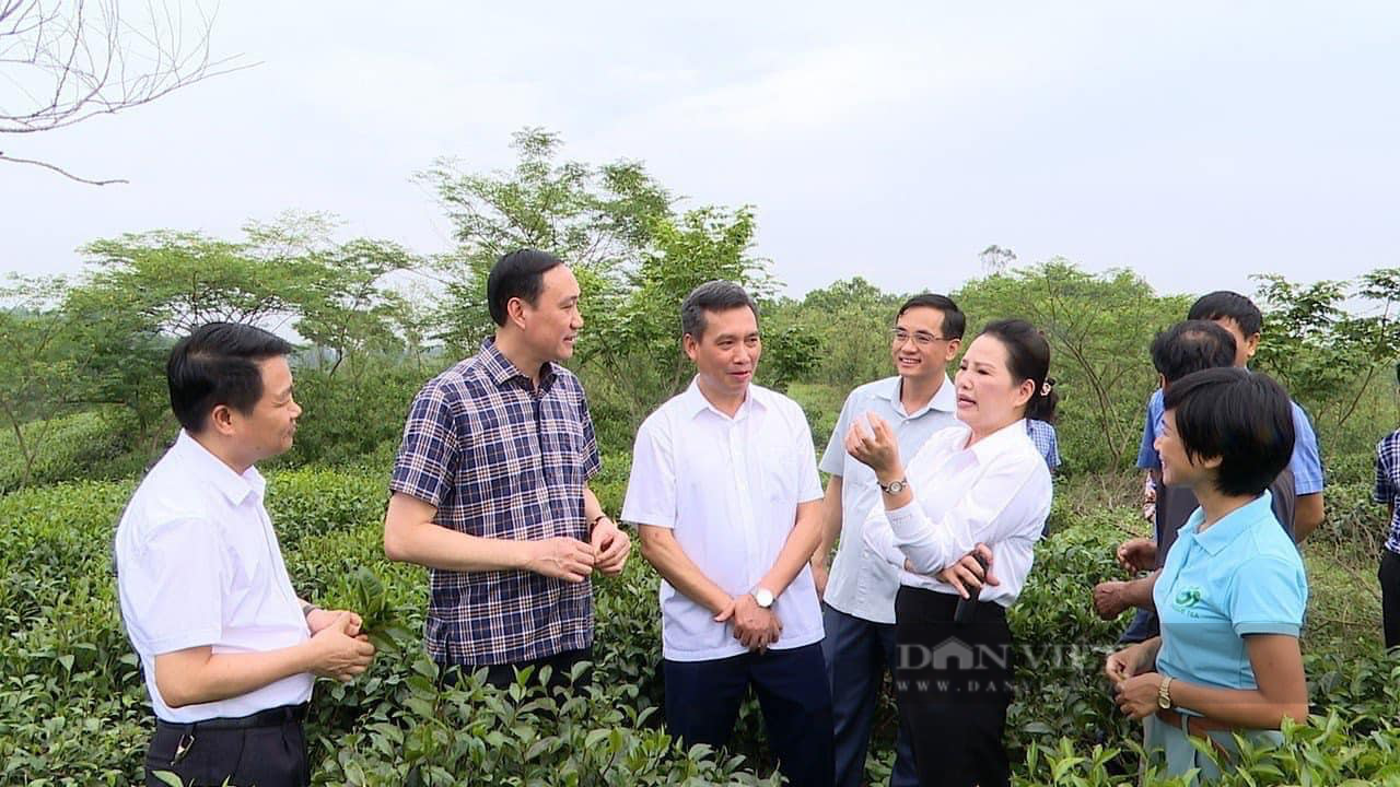 Cách làm sáng tạo giúp huyện miền núi Phú Thọ về đích xây dựng nông thôn mới sớm 2 năm- Ảnh 2.