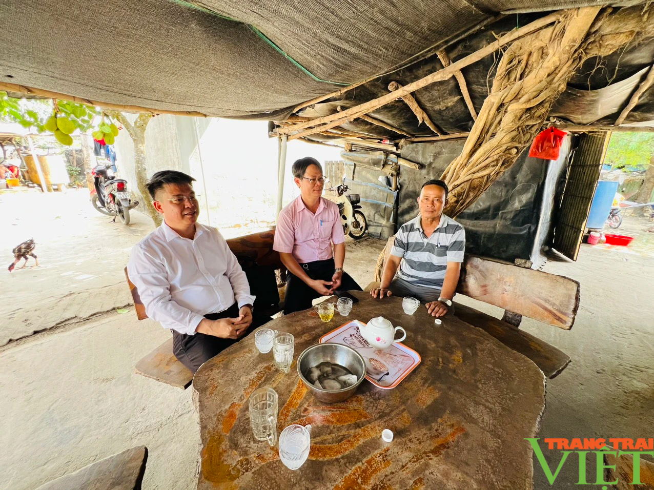 Nguồn vốn ưu đãi của Chính phủ tiếp sức cho đối tượng chính sách Bình Thuận thoát nghèo- Ảnh 3.