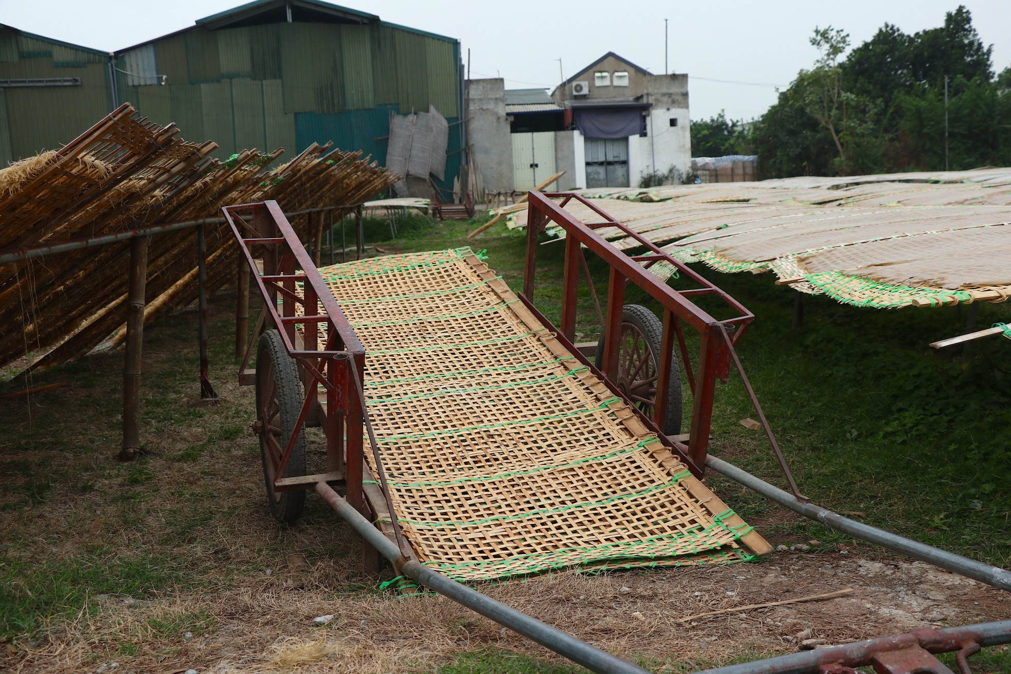 Nông dân làng miến dong Dương Liễu bảo nhau tăng công suất gấp 3 để đủ miến bán cho thương lái dịp Tết- Ảnh 7.