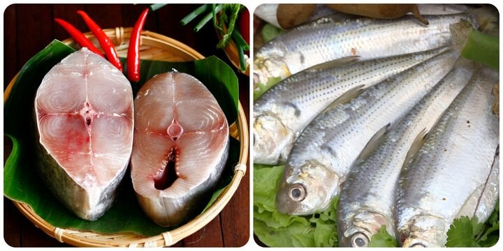 4 loại cá biển ngon, giàu dinh dưỡng ai cũng nên ăn mỗi tuần- Ảnh 1.