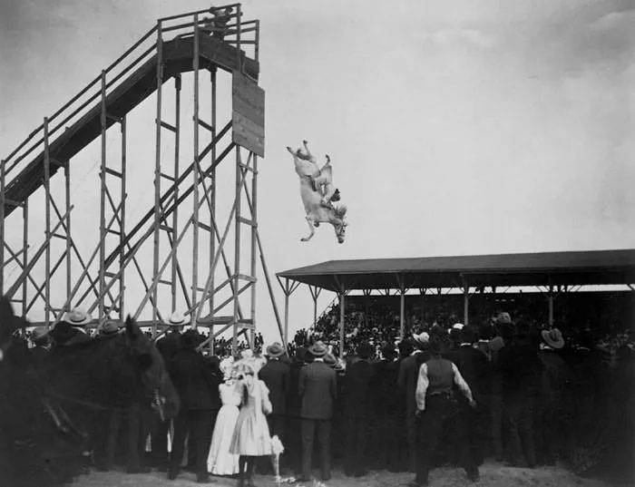 Ngựa lặn: Môn thể thao nguy hiểm và tàn nhẫn nhất thế kỷ 19- Ảnh 1.