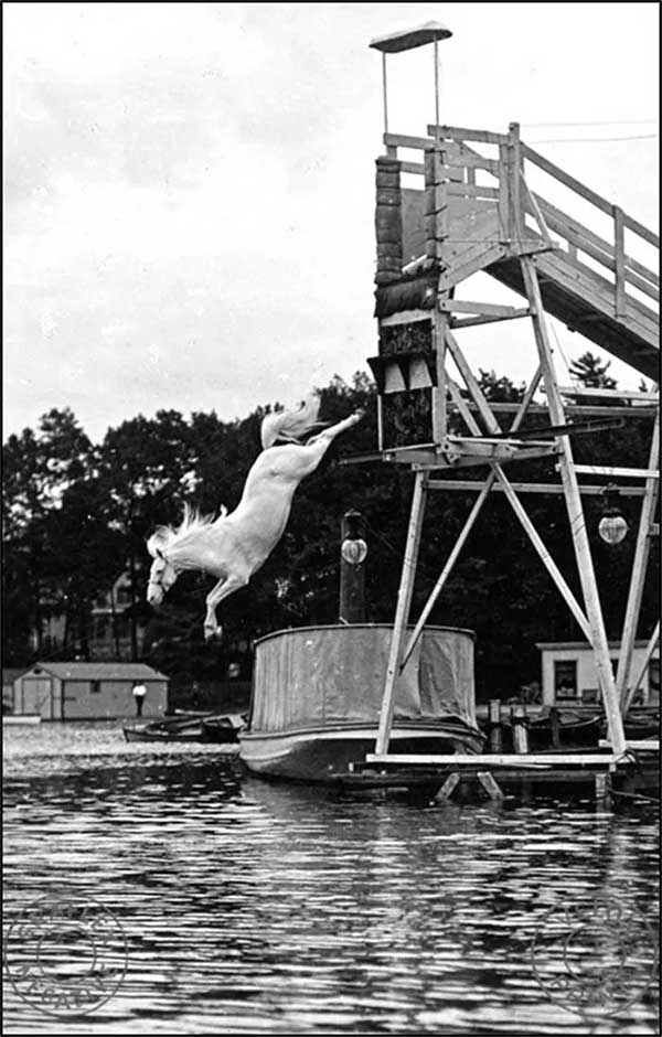 Ngựa lặn: Môn thể thao nguy hiểm và tàn nhẫn nhất thế kỷ 19- Ảnh 3.