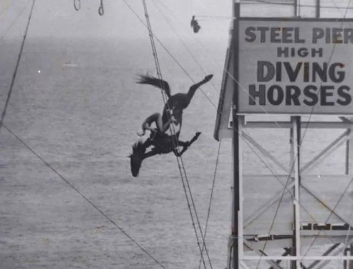Ngựa lặn: Môn thể thao nguy hiểm và tàn nhẫn nhất thế kỷ 19- Ảnh 5.