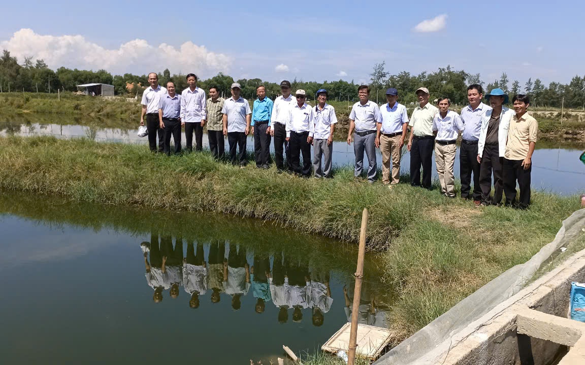 Chỉ cần xách giỏ đi chợ, chị em nội trợ đang biến Côn Đảo thành “đảo xanh” trù phú - Ảnh 2.