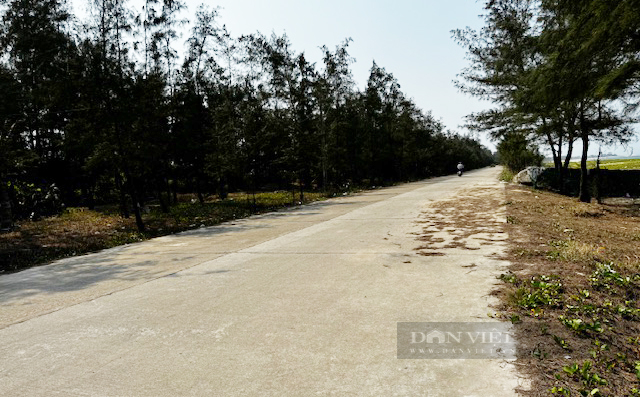 Quảng Ngãi: Nhìn lại tuyến đường 3,8 tỷ bị rút ruột làm Chủ tịch xã, cán bộ huyện tra tay vào còng- Ảnh 6.