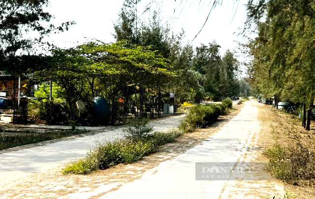 Quảng Ngãi: Nhìn lại tuyến đường 3,8 tỷ bị rút ruột làm Chủ tịch xã, cán bộ huyện tra tay vào còng- Ảnh 5.