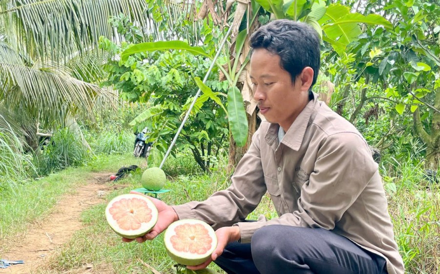 Bán trái cây ngon sang châu Âu, Bắc Mỹ, một HTX ở Hậu Giang giúp nông dân kiếm bộn tiền - Ảnh 2.