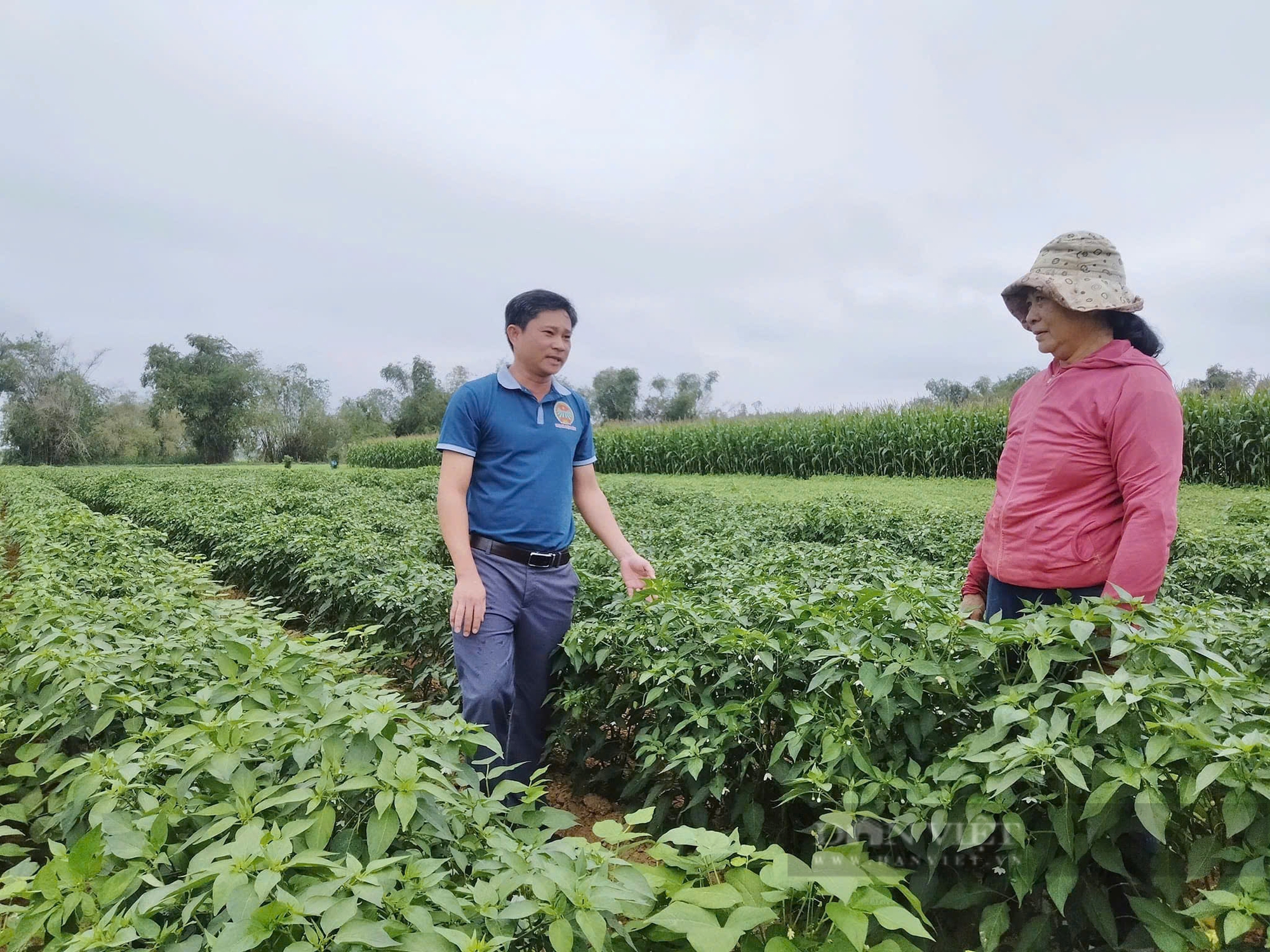 Quảng Nam: Điện Bàn tổng kết 10 năm thực hiện Nghị quyết 19 của Trung ương Hội Nông dân Việt Nam - Ảnh 2.