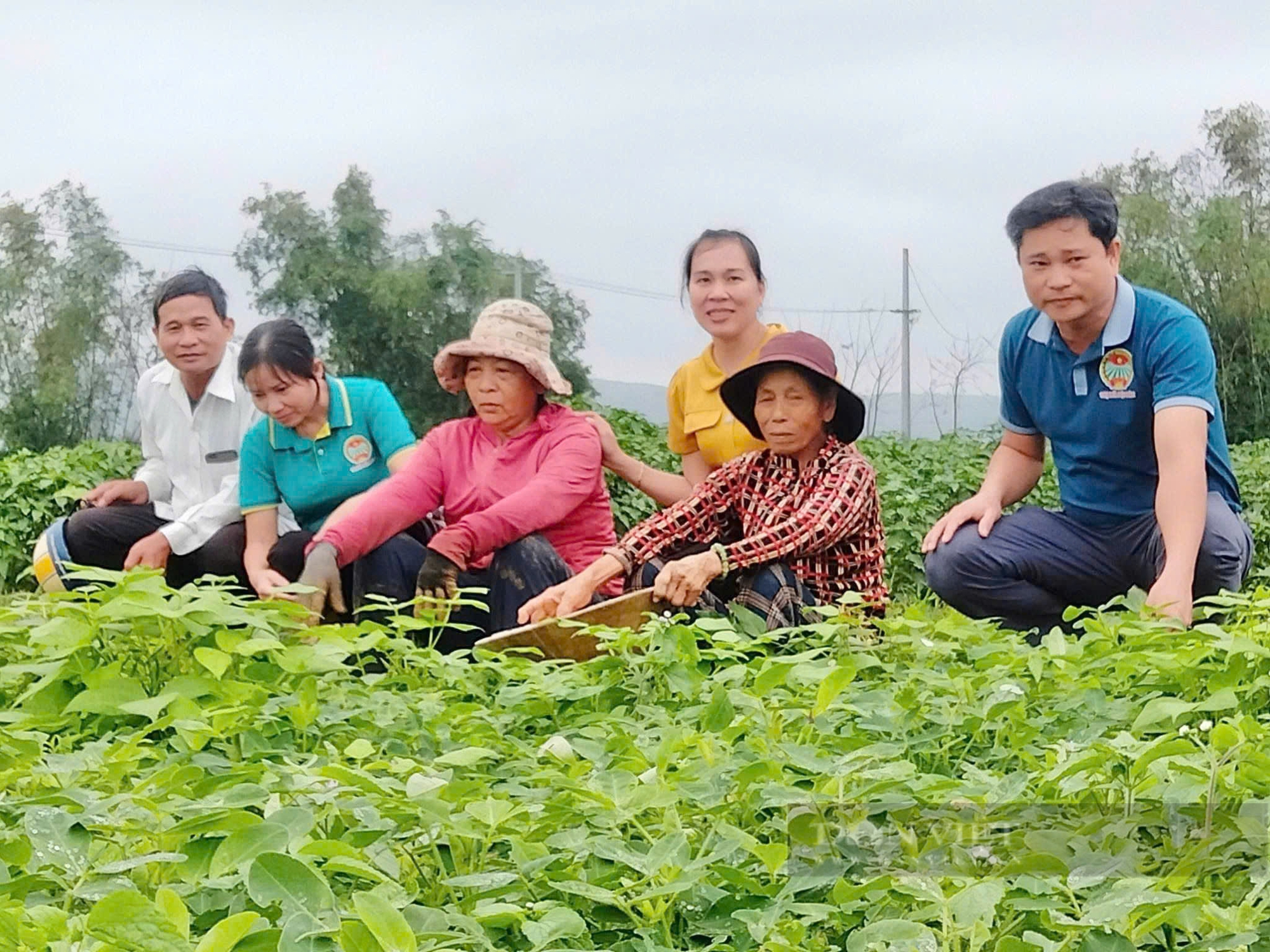 Quảng Nam: Điện Bàn tổng kết 10 năm thực hiện Nghị quyết 19 của Trung ương Hội Nông dân Việt Nam - Ảnh 3.