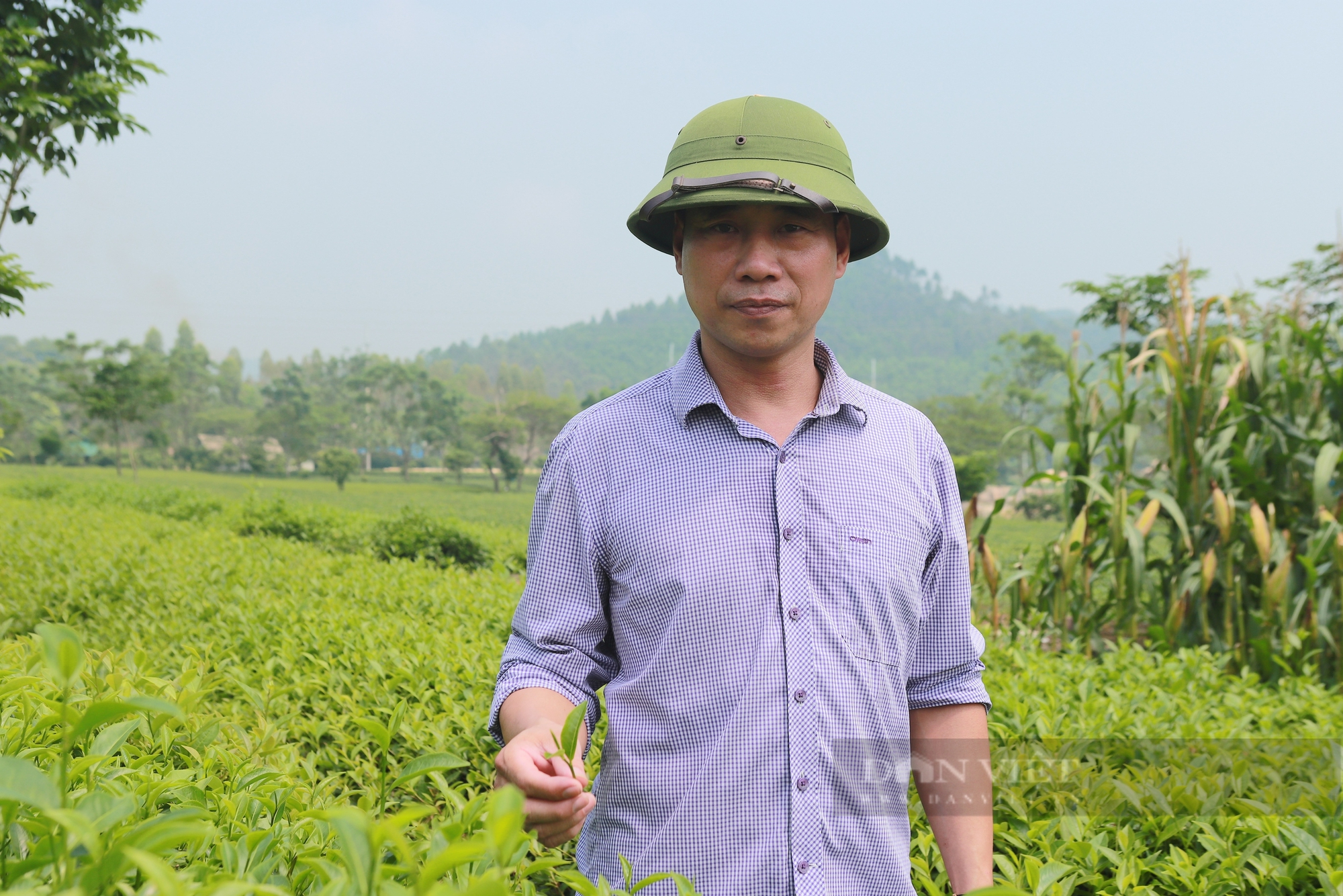 Người sản xuất ra nhiều loại chè "độc lạ", đưa thương hiệu chè Tuyên Quang "bay xa" là Nông dân Việt Nam xuất sắc 2024 - Ảnh 3.