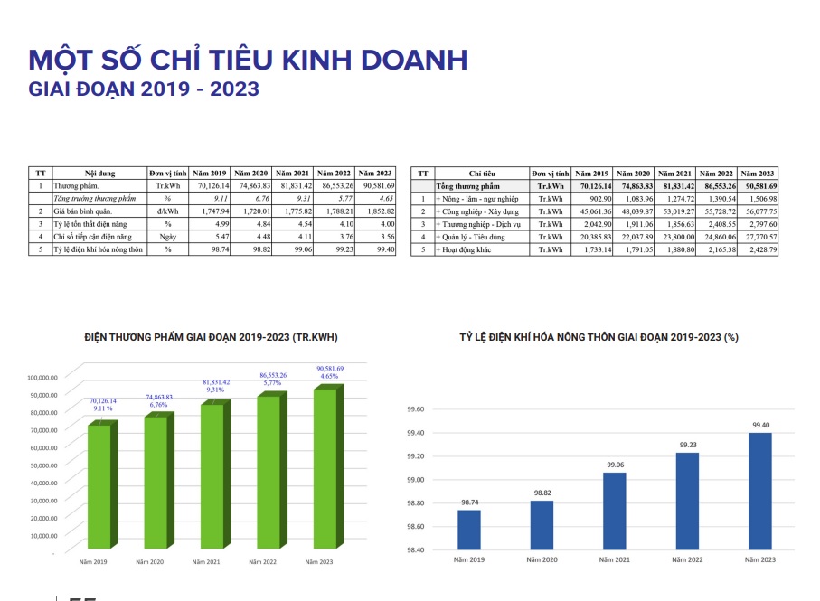 EVNNPC – Dấu ấn lá cờ đầu - Ảnh 4.