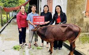 Nông dân đổi đời nhờ trồng loại quả "lớn nhanh như thổi" - Ảnh 6.