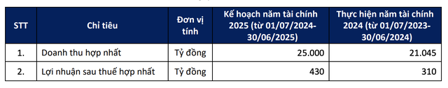 Coteccons trình mục tiêu lãi niên độ 2024 - 2025 đạt 430 tỷ đồng, đề xuất không chia cổ tức- Ảnh 1.