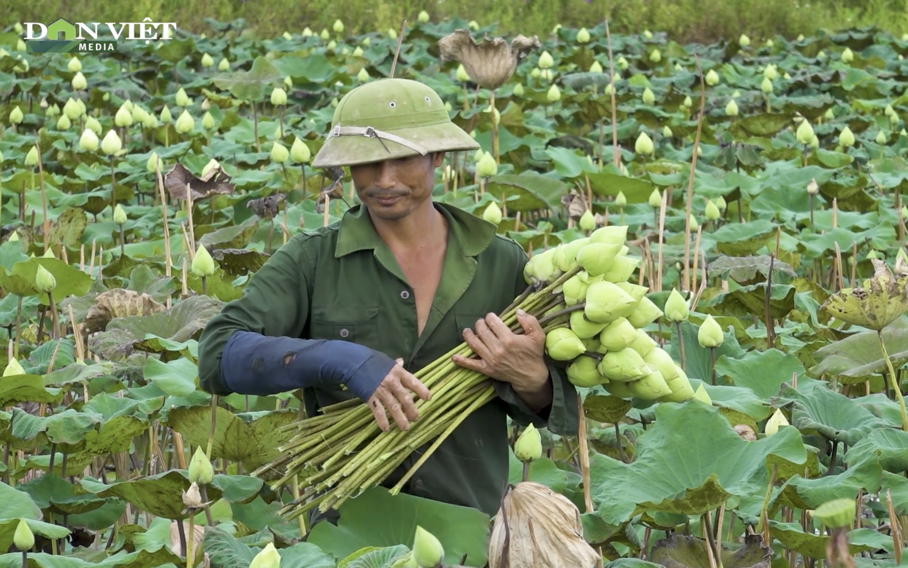 Cơ sở pháp lý trong vụ nhóm thanh niên cầm dao đe dọa dân, đâm trọng thương công an ở Hà Nam- Ảnh 2.