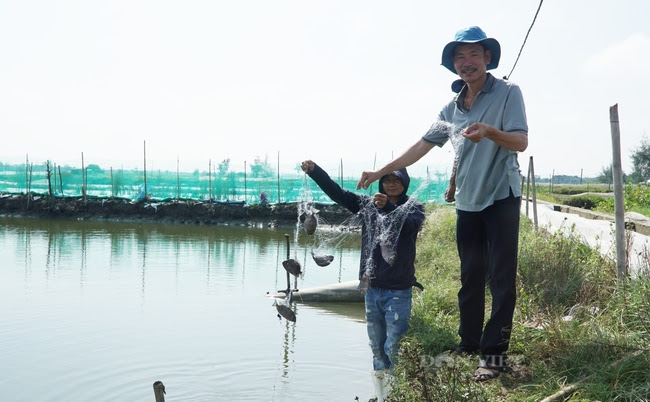 TT-Huế: Nông dân sản xuất kinh doanh giỏi- hạt nhân thúc đẩy giảm nghèo bền vững vùng nông thôn- Ảnh 1.